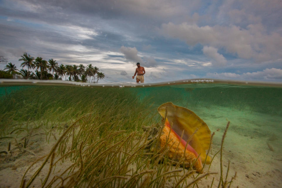 Photo credit: Cristina Mittermeier