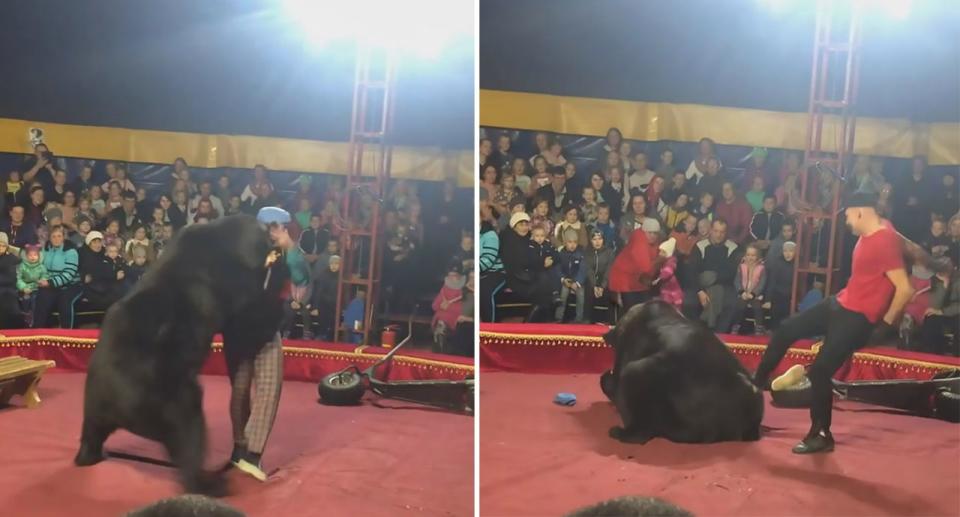 The bear turned on its trainer during a performance in Olonets, Russia (Picture: Australscope)