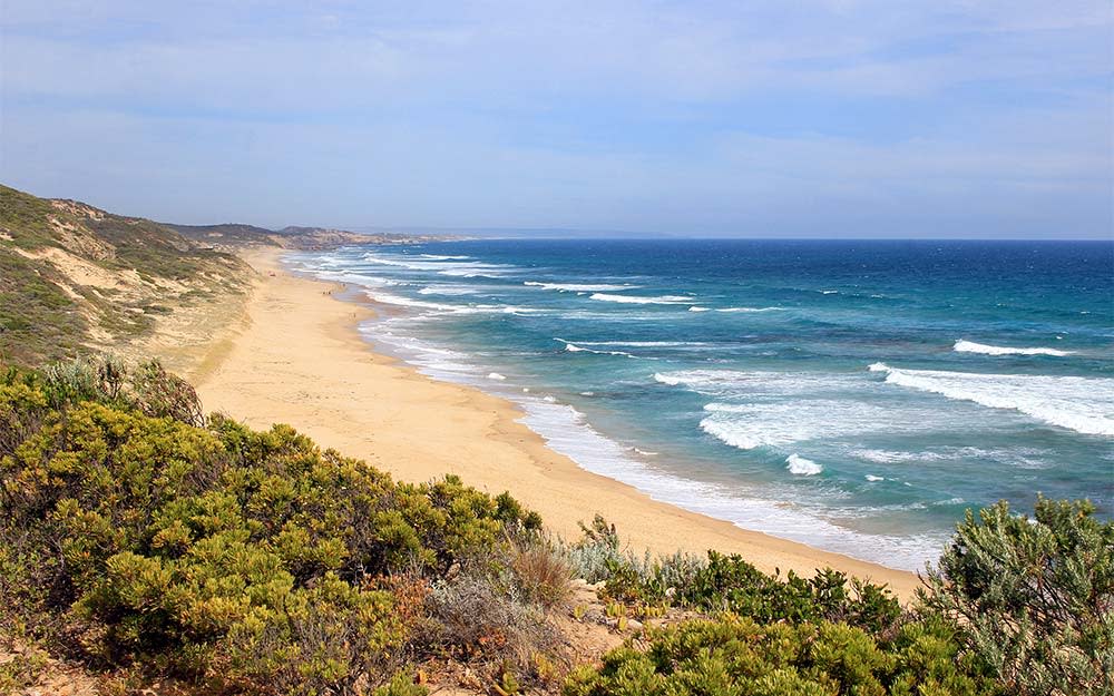 Portsea Ocean Beach - the best beaches in melbourne