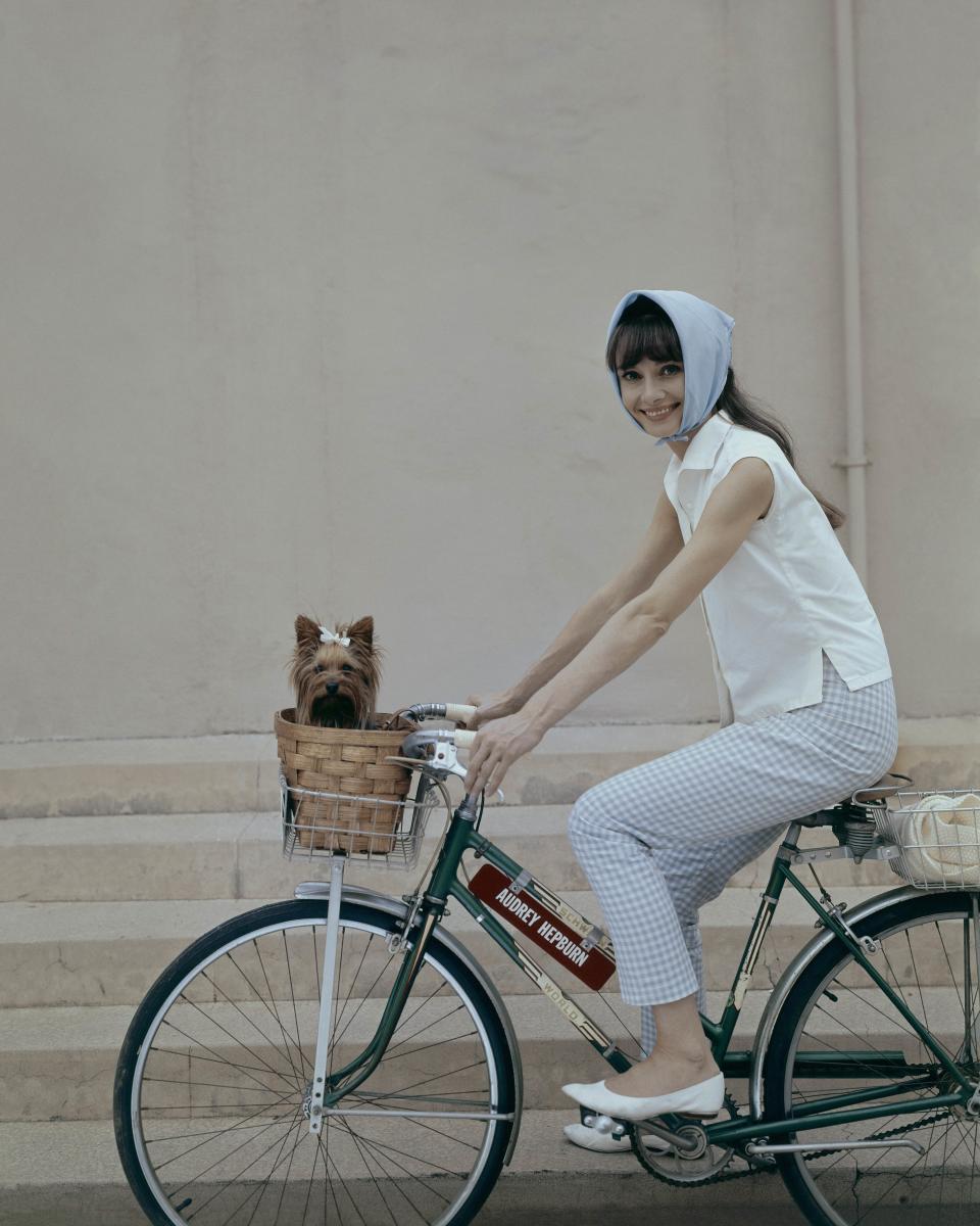 Hepburn rides a bike with dog in basket in this undated photo.&nbsp;