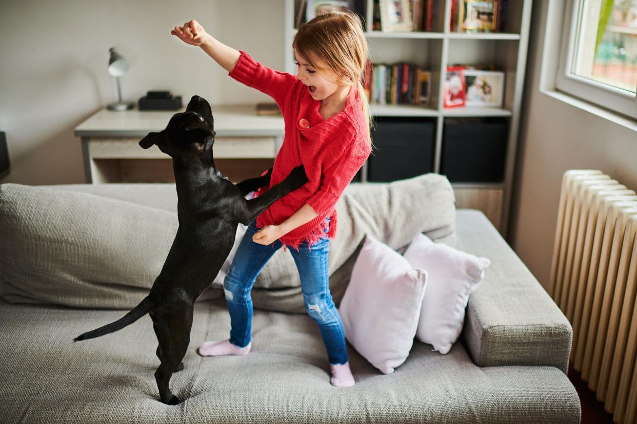 little girl and black puppy standing on couch