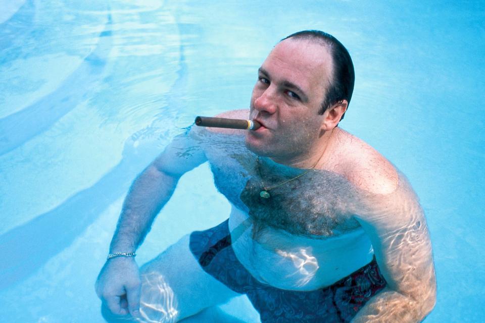 James Gandolfini, as Tony Soprano