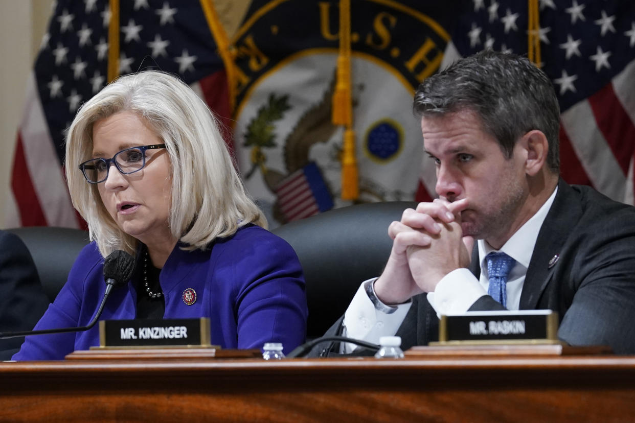 Reps. Liz Cheney and Adam Kinzinger.