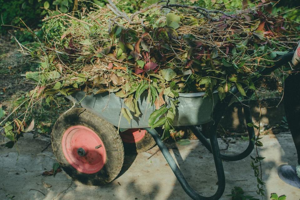 <p>Invasive plant species are more than just an annoyance, these weeds can do structural damage to your home (causing its value to plummet) and harm <a rel="nofollow noopener" href="https://www.countryliving.com/uk/wildlife/countryside/g23859075/wildlife-photographer-of-the-year-2018/" target="_blank" data-ylk="slk:indigenous wildlife;elm:context_link;itc:0;sec:content-canvas" class="link ">indigenous wildlife</a> in <a rel="nofollow noopener" href="https://www.countryliving.com/uk/homes-interiors/gardens/a20728042/best-gardening-apps-download-garden/" target="_blank" data-ylk="slk:your garden;elm:context_link;itc:0;sec:content-canvas" class="link ">your garden</a> like worms, bees and frogs.</p><p>Expert gardeners at online retailer <a rel="nofollow noopener" href="https://urldefense.proofpoint.com/v2/url?u=http-3A__www.billyoh.com_&d=DwMFaQ&c=B73tqXN8Ec0ocRmZHMCntw&r=ah4_mEotB-C8eSDCW6koPHc_LPHz-2PxrcGnl8U41ljHXeyFcv1QeKqh_hCUlRwX&m=oTi4RPRK90vBjsL-c2C9Jv8y6Em61n5mxuNuEQQeXKQ&s=-GFfGrcvu8dMZQ5PxqwkW6mwBQzKsjA680Drdvtihgc&e=" target="_blank" data-ylk="slk:BillyOh.com;elm:context_link;itc:0;sec:content-canvas" class="link ">BillyOh.com</a> have rounded up the worst offenders – some of which are so hard to regulate they're actually <strong>illegal to plant in the UK.</strong></p><p>"For most people, thoughts of destructive, nuisance plants instantly conjures up images of deep jungles and exotic forests abroad – but surprisingly, the UK is home to a fair few damaging <a rel="nofollow noopener" href="https://www.countryliving.com/uk/wildlife/countryside/a23881819/tree-of-the-year-awards-2018/" target="_blank" data-ylk="slk:flowers, shrubs and weeds;elm:context_link;itc:0;sec:content-canvas" class="link ">flowers, shrubs and weeds</a> too," a Billyoh spokesperson says. </p><p>“Some are capable of destroying entire habitats if left untreated, whilst others can also produce a nasty sap that can irritate and burn human skin. Where possible, controlling these nuisance weeds should be done using non-chemical means such as digging out or suppressing with mulch. But quite often these methods are not feasible or effective, and so chemical controls may need to be used."</p><p>Here, the top five destructive plants you should watch out for in <a rel="nofollow noopener" href="https://www.countryliving.com/uk/homes-interiors/gardens/advice/a799/country-cottage-style-garden-look/" target="_blank" data-ylk="slk:your garden;elm:context_link;itc:0;sec:content-canvas" class="link ">your garden</a>. And it goes without saying that you should always a consult a professional for advice before tackling them yourself.</p>