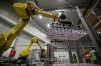 Robotic arms sort and load yogurts onto pallets at a distribution centre near Prague