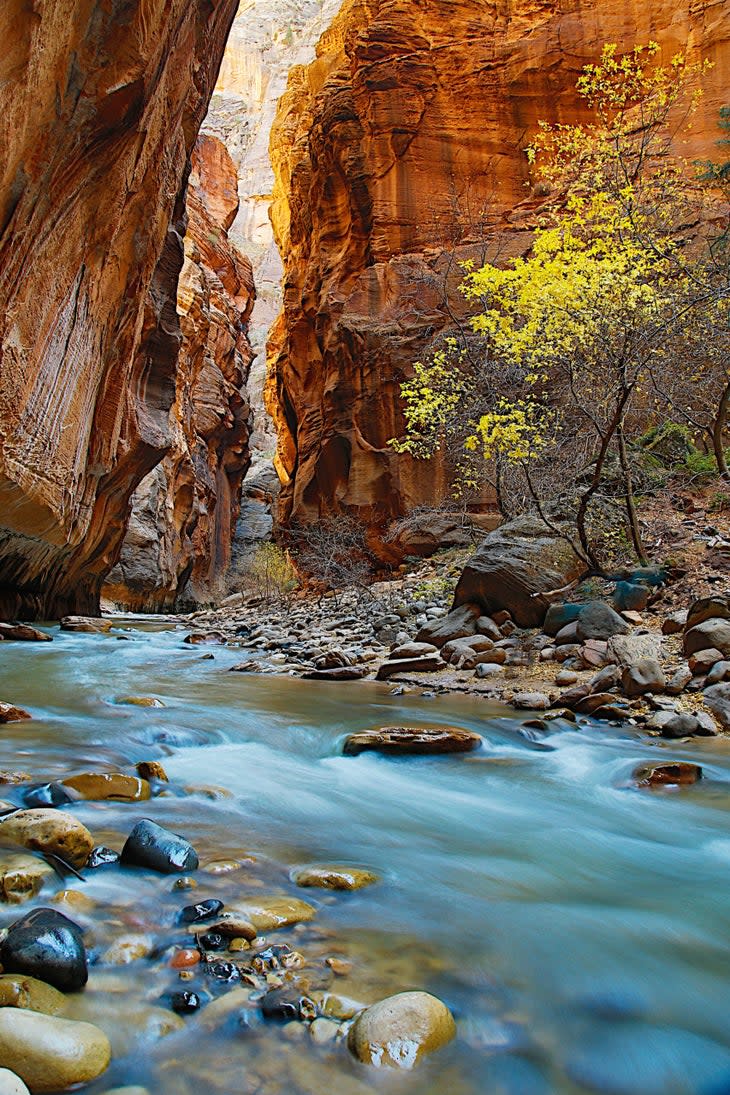 Zion Narrows hike