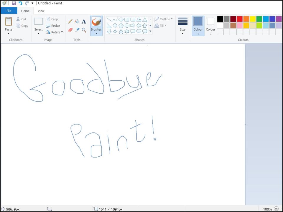 Goodbye Paint (3)