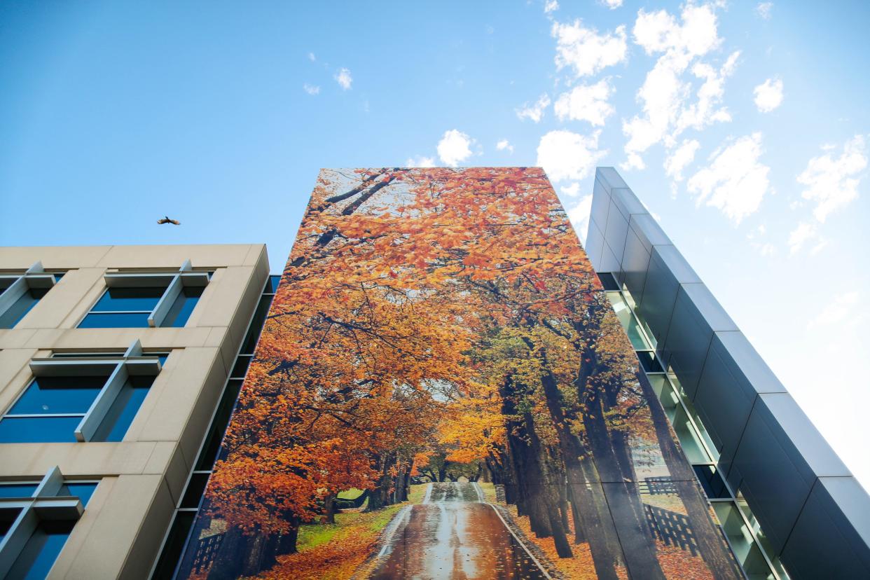 The new seasonal mural on the Dotdash Meredith building on 17th Street and Locust Street in Des Moines features an image from Southern Living magazine.