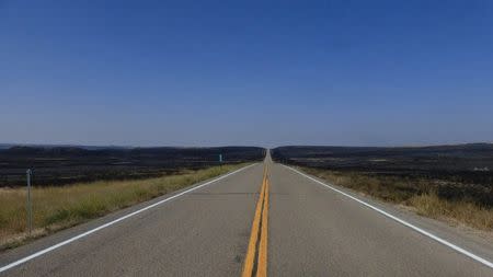 Blackened range remains on both sides of the Montana 200 highway between Sand Springs and Mosby where the Lodgepole Complex jumped the road near Mosby, Montana, U.S. July 23, 2017. Bureau of Land Management/Handout via REUTERS