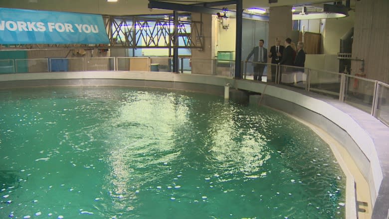 N.S. hopes to spur tidal energy research at Dal's Aquatron