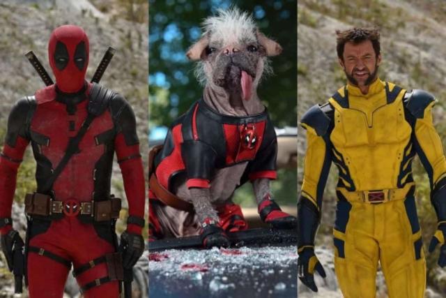 Deadpool 3 (2024): fecha de estreno, tráiler, reparto. Película de