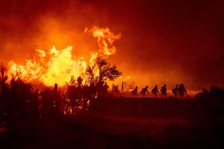 Los bomberos luchan contra el Sugar Fire, en el Beckwourth Complex Fire, en Doyle, California, el 9 de julio