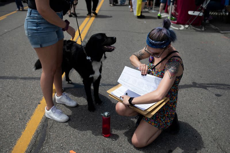 FILE PHOTO: Volunteer gathers signatures for a proposed abortion amendment