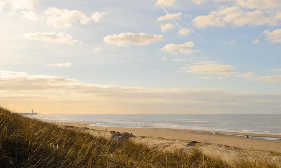 Dunes, beach and sea at the coast of Holland during a summer evening