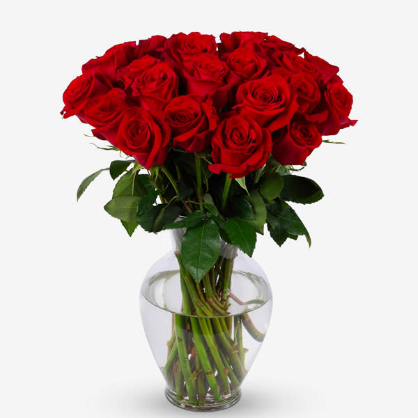 Benchmark Bouquets 24 Stem Red Roses
