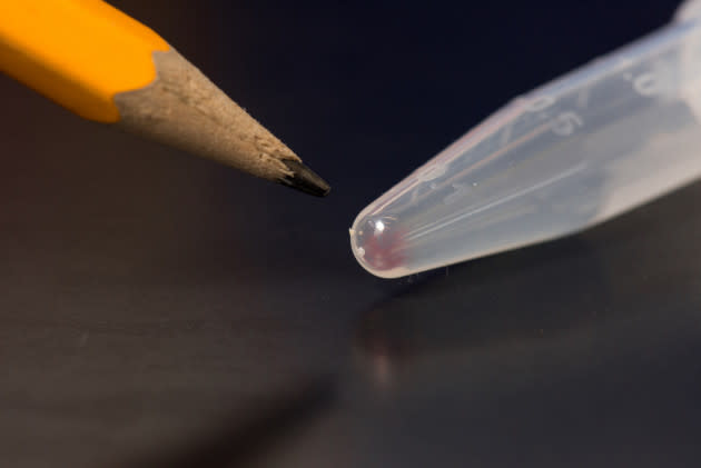 Pencil and test tube of DNA