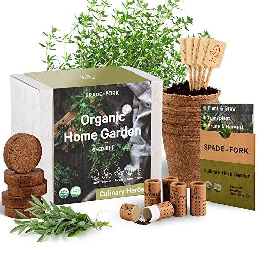 4) Indoor Herb Garden Starter Kit