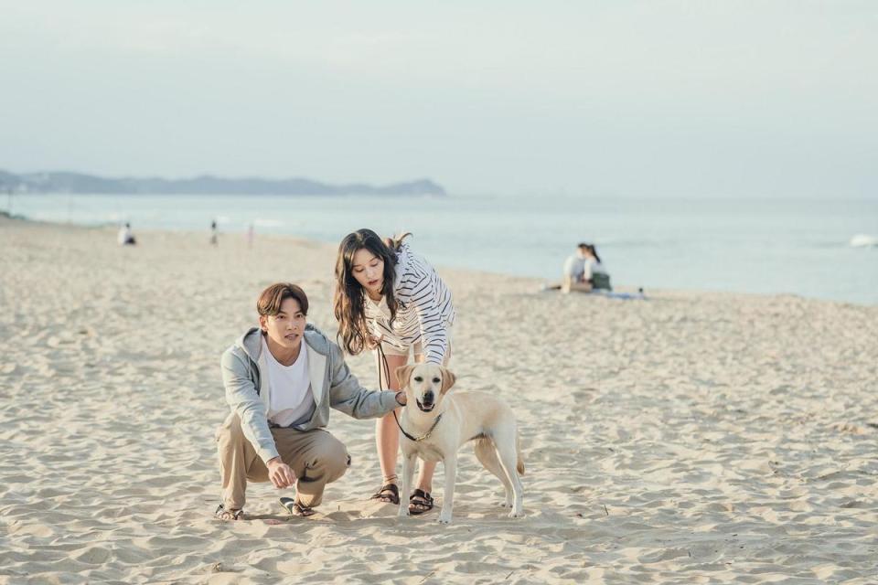 池昌旭與金智媛合作《愛在大都會》，感情好到導演一度以為他倆假戲真做。（Netflix提供）