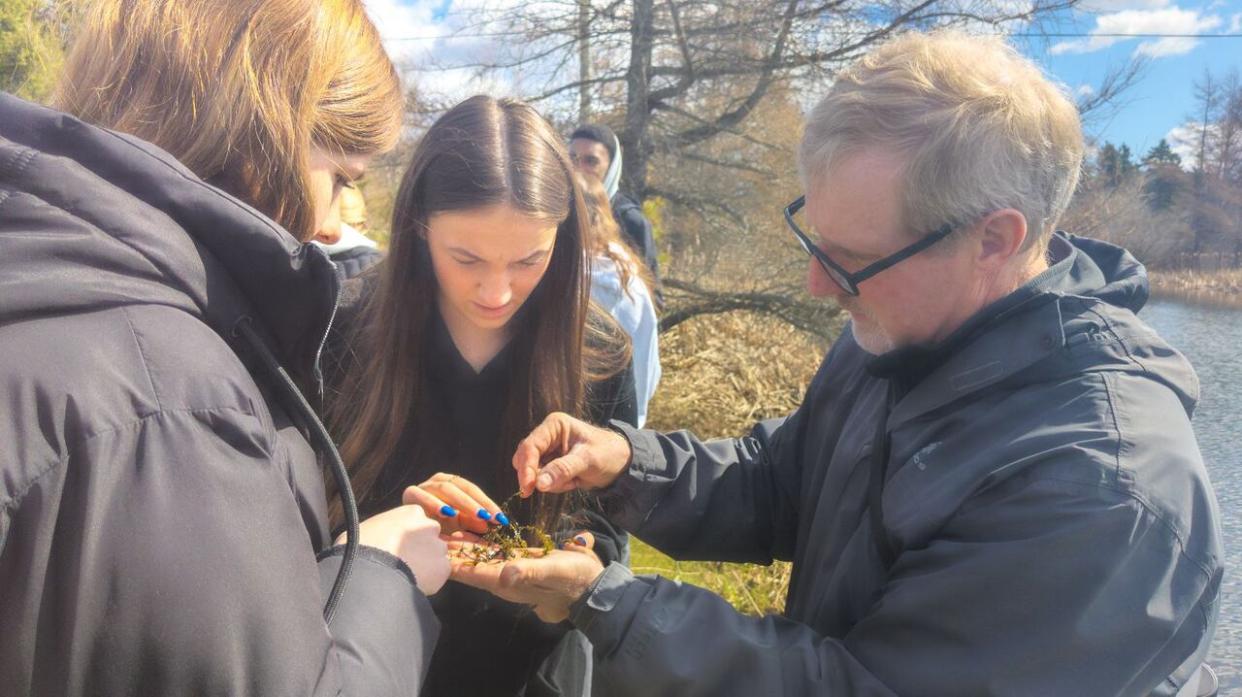 Conservation teacher Rob Redmond and some of his students look at plants from the pond near Charlottetown Rural High School as part of the City Nature Challenge.   (Shane Hennesey/CBC - image credit)