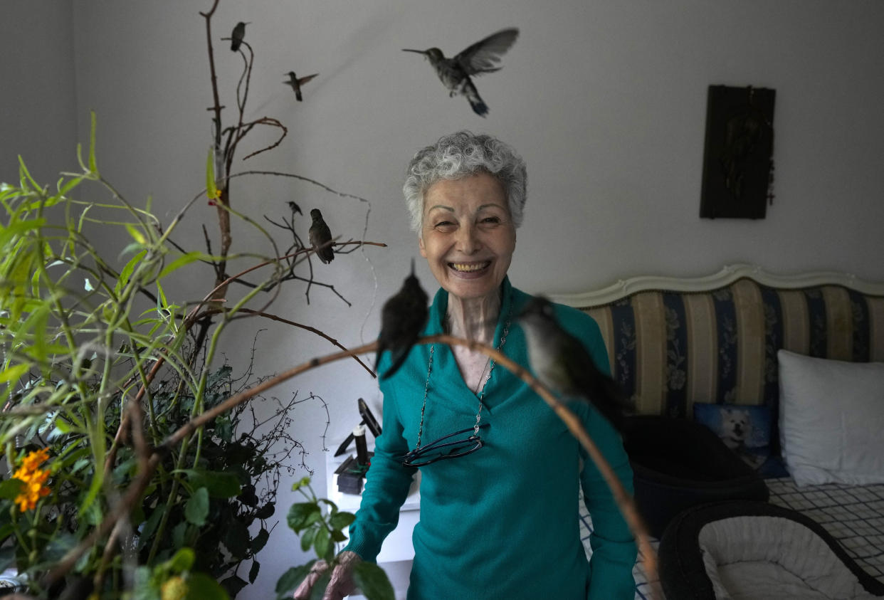 Catia Lattouf posa para una foto con colibríes a su cuidado, en su apartamento que ha convertido en una clínica improvisada para los pequeños pájaros, en la Ciudad de México, el lunes 7 de agosto de 2023. (AP Foto/Fernando Llano)