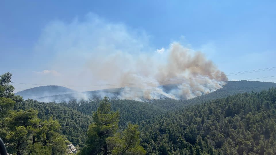 The national park, known as the "lungs of Athens" is now home to a battle to repel wildfires. - Eleni Giokos/CNN