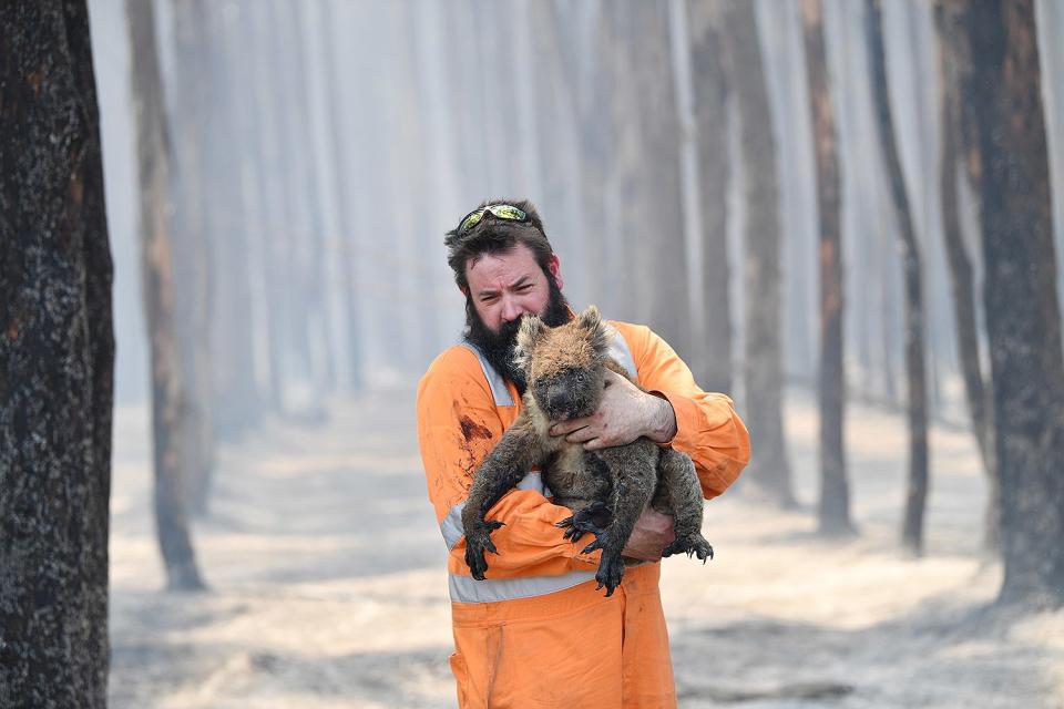 Adelaide wildlife rescuer Simon Adamczyk holds a koala he rescued at a burning forest near Cape Borda on Kangaroo Island, Australia on Jan. 7. 