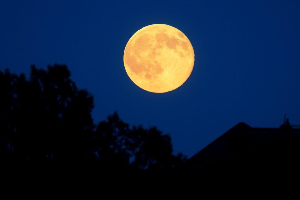 Strawberry full moon rising