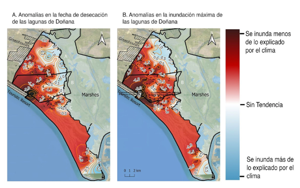 Mapa del Parque Nacional de Doñana mostrando las áreas con mayor deterioro de lagunas afectadas por anomalías distintas al clima (distancia a bombeos, extensión de cultivos, etc.). Author provided