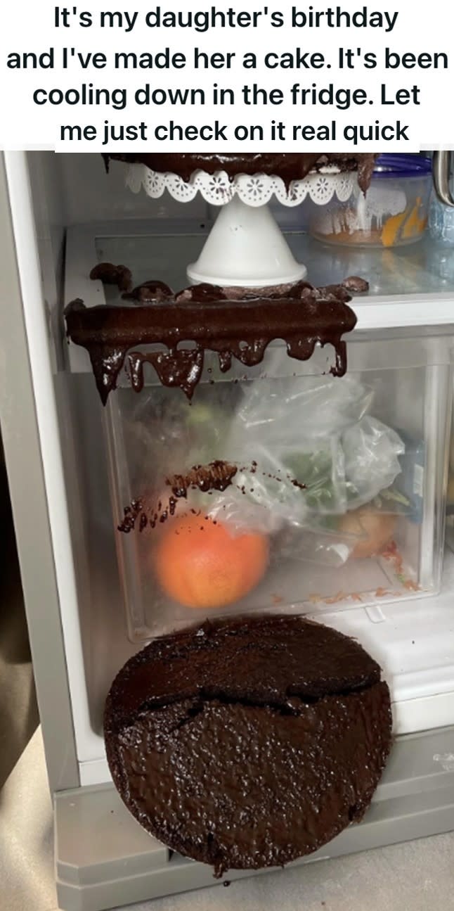 a cake that's fallen in the fridge