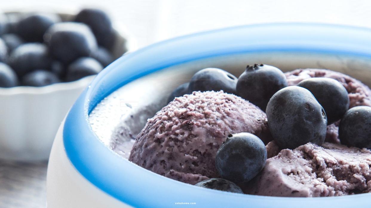  Zoku Ice Cream Maker filled with blueberries and blueberry sorbet with blueberries in the background 