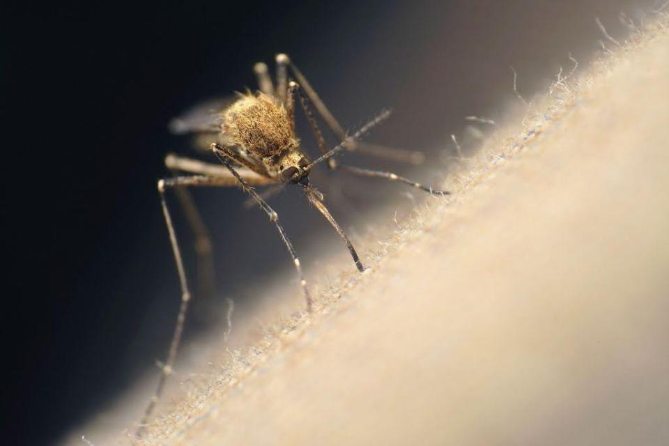 Two people in Ottawa County have tested positive for West Nile Virus, the Ottawa County Department of Public Health announced Thursday.