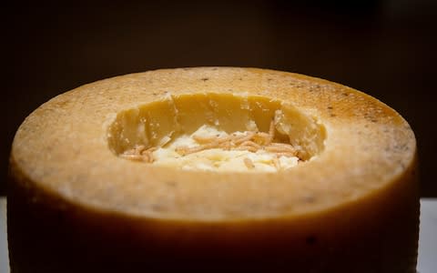 How many could you stomach? Pictured: Casu Marzu from Sardinia - Credit: &nbsp;Mo Styles