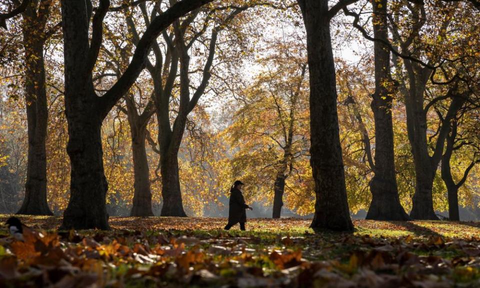 <span>Photograph: Dan Kitwood/Getty Images</span>