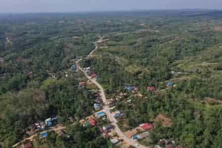 An aerial view of Sepaku district in North Penajam Paser, East Kalimantan province