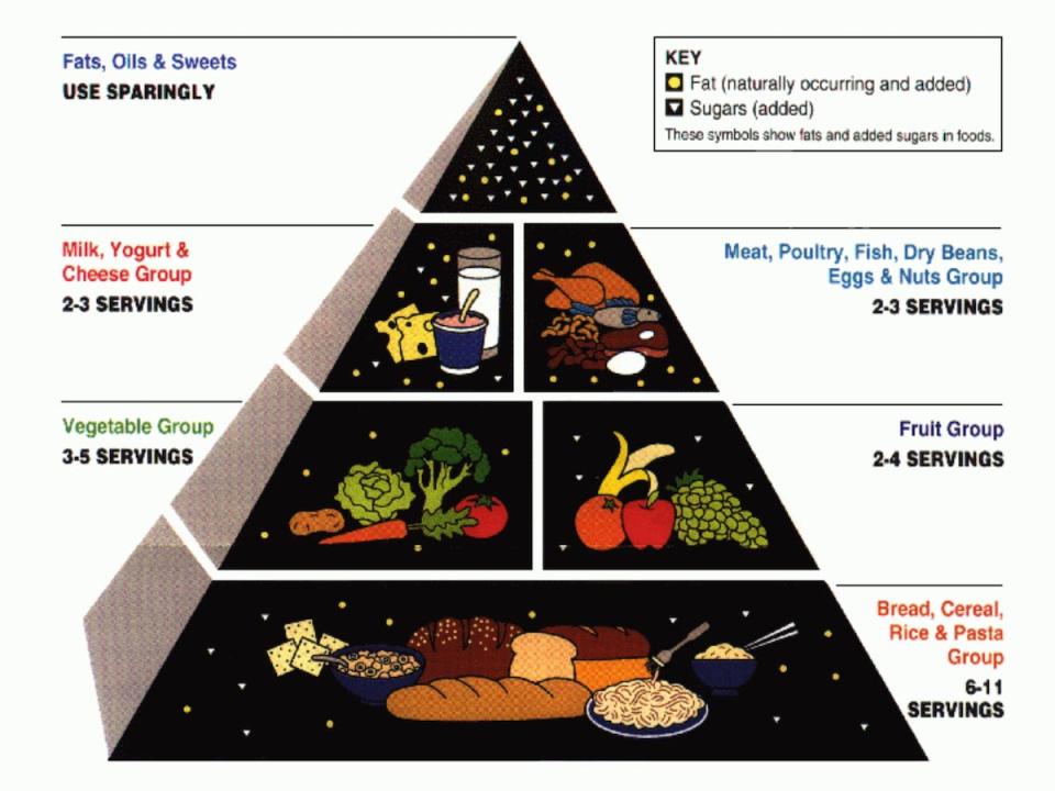 USDA Food guide pyramid 1992