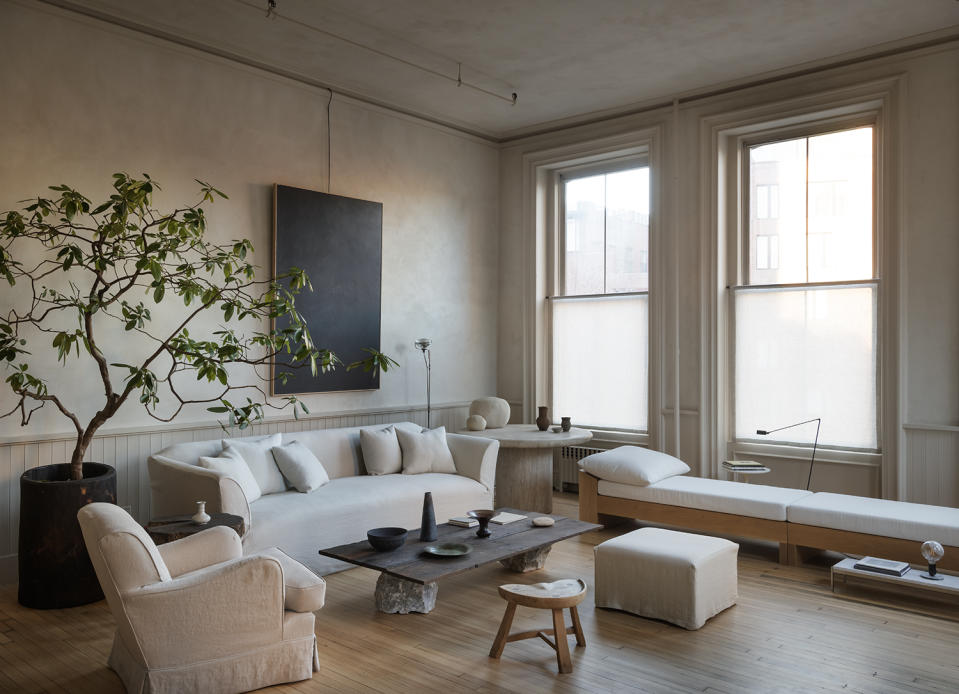 neutral living room with white sofa and indoor tree