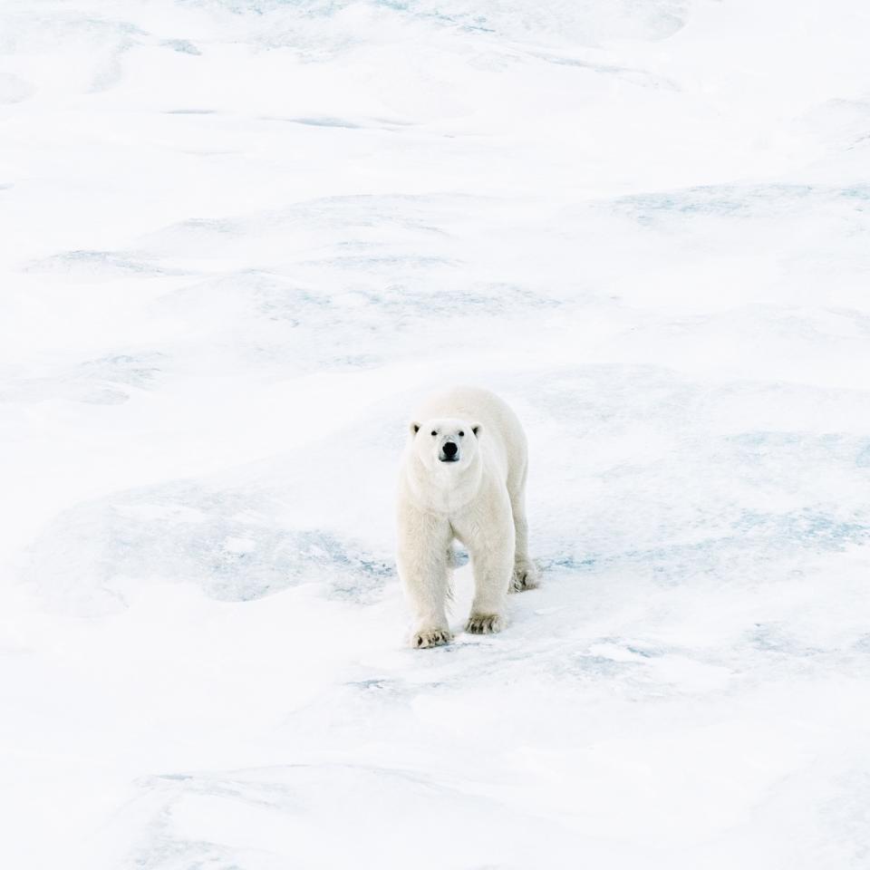 PHOTOS: Astronaut Chris Hadfield took artists on an Arctic expedition