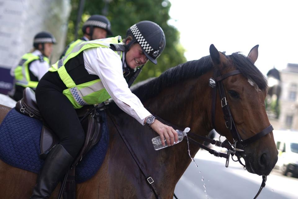 A police officer poring water water on a police horse on Whitehall (PA)