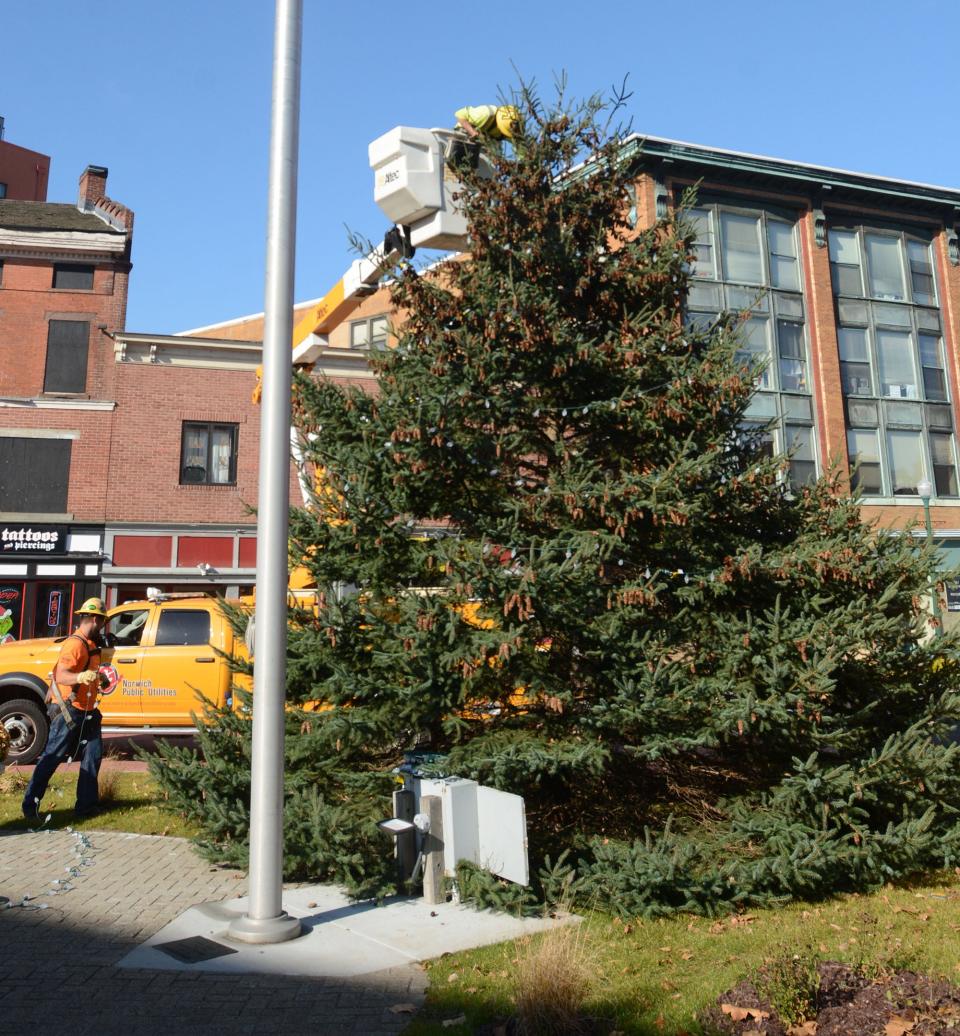 Norwich Public Utilities journeyman lineman Will Maxeiner strings some of the 800 white lights on the top of the 25-foot tall Christmas tree at Franklin Square in downtown Norwich in this file photo.