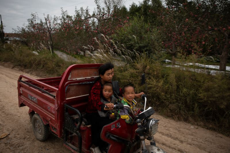 The Wider Image: Energy security and economic fears drive China's return to coal