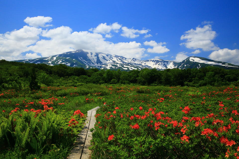A photo of Mount Chokaizan in early summer.