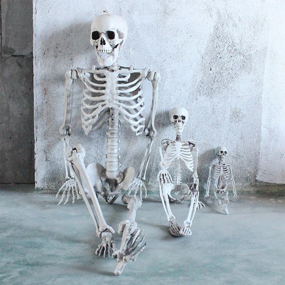 Moveable skeletons of different sizes are available at Walmart. 