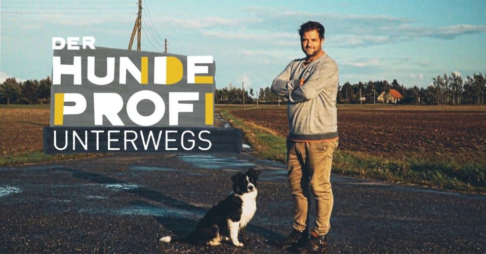 "Der Hundeprofi unterwegs" zeigt Martin Rütter auf besonderer Mission. (Bild: RTL)