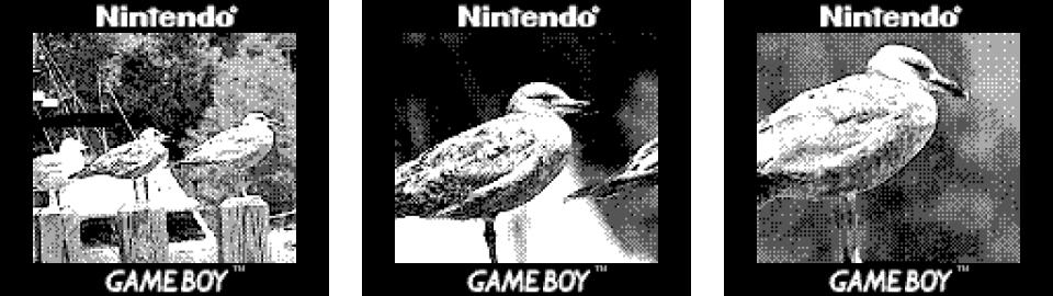 Nintendo launched the wonderfully weird Game Boy Camera for its beloved