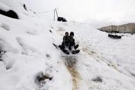 Childdren play in the snow following a snowstorm at a park in Jerusalem December 14, 2013. Jerusalem's heaviest snow for 50 years forced Israeli authorities to lift a Jewish sabbath public transport ban on Saturday and allow trains out of the city where highways were shut to traffic. REUTERS/ Ammar Awad (JERUSALEM - Tags: ENVIRONMENT TPX IMAGES OF THE DAY)