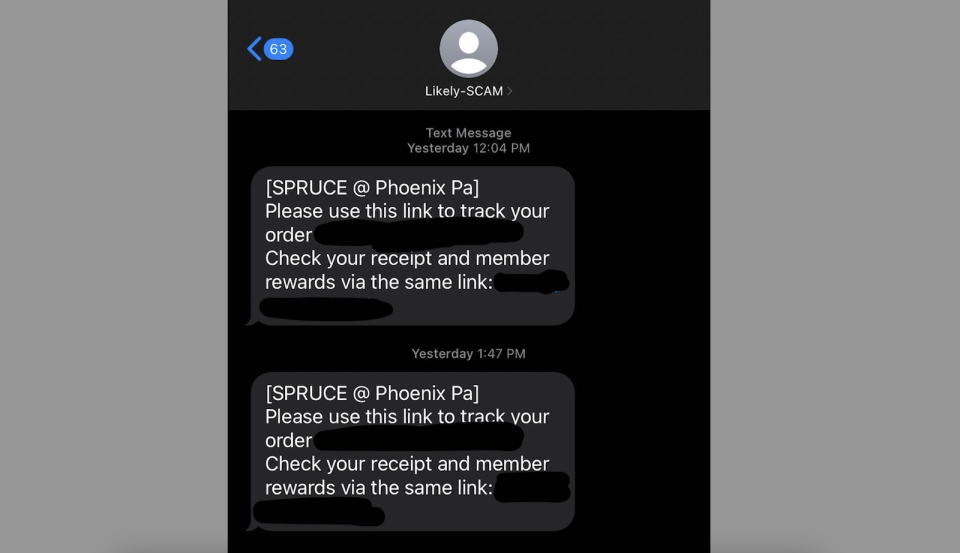 A screenshot of SMS messages in a single message thread.