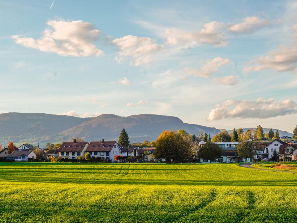 A sunlit field in Roggwil, Switzerland.