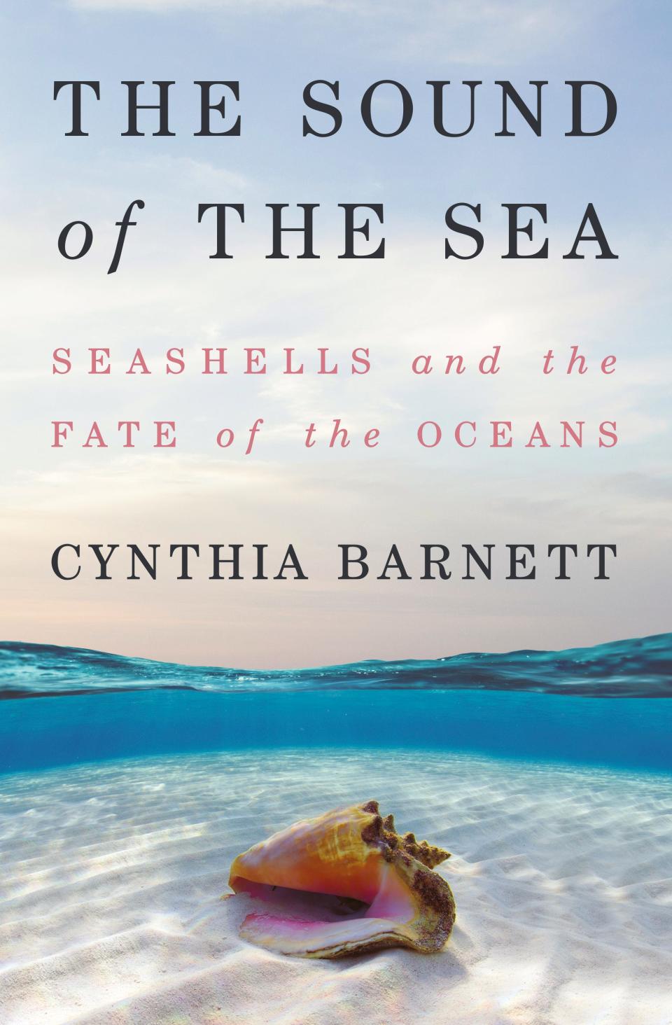 Author Cynthia Barnett will discuss her book at the Word of South Festival at 12:30 p.m. Sunday, April 10, 2022.