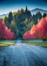 <p>Craving the fall scenery during springtime in the U.S.? It's the perfect time to plan a trip to explore Queenstown, New Zealand. There are tons of incredible vistas and outdoor adventures to be had nearby, from visiting Lake Wakatipu to exploring Skipper's Canyon. </p><p><a class="link " href="https://go.redirectingat.com?id=74968X1596630&url=https%3A%2F%2Fwww.tripadvisor.com%2FHotel_Review-g4563970-d606186-Reviews-Stoneridge_Estate-Lake_Hayes_Queenstown_Otago_Region_South_Island.html&sref=https%3A%2F%2Fwww.womenshealthmag.com%2Flife%2Fg41359461%2Fbest-fall-foliage-places%2F" rel="nofollow noopener" target="_blank" data-ylk="slk:BOOK NOW;elm:context_link;itc:0;sec:content-canvas">BOOK NOW</a> <strong><em>Stoneridge Estate</em></strong></p>