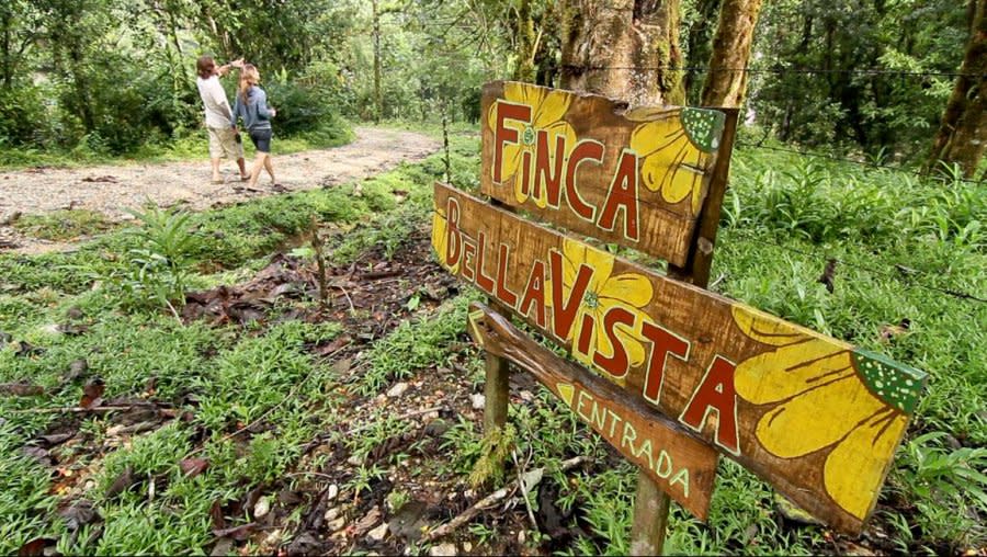 Welcome to Finca Bella Vista.